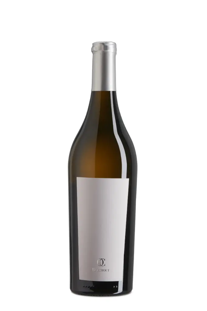 [2024] Auxerrois Taille 2024