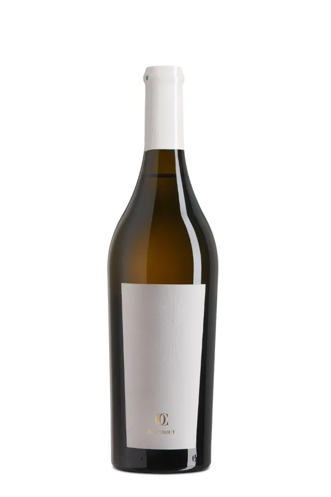 [2024] Auxerrois Taille 2024